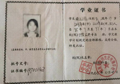 �Ќ����I(y��)�C��