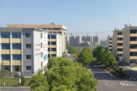 ƽhI(y)g(sh)W(xu)У