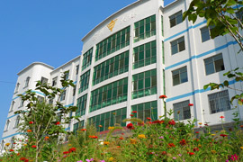 ꖿhI(y)I(y)g(sh)WУ