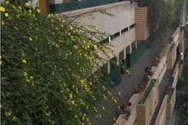 武岡市技工學(xué)校